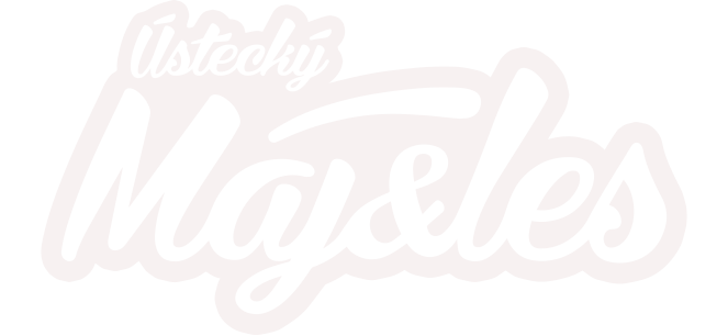 Ústecký Majáles hudební festival